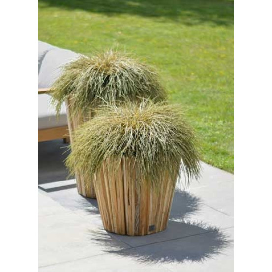 Miguel teak plantenbak rond laag