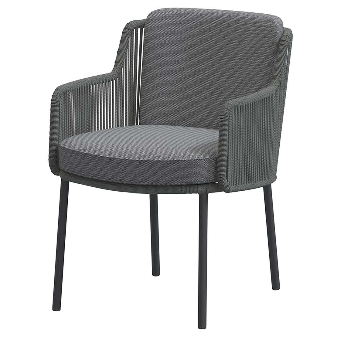 Bernini dining chair Platinum with 2 cushions